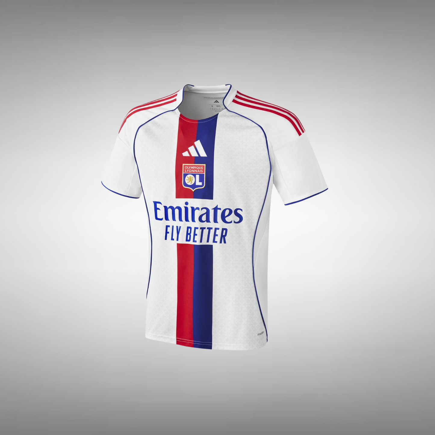25/26 Lyon Home Kit