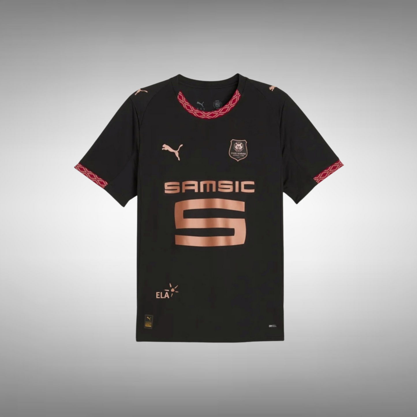 25/26 Rennes Third Kit